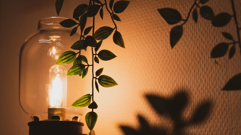 Cozy vintage lamp illuminates a room with light, casting plant shadows.