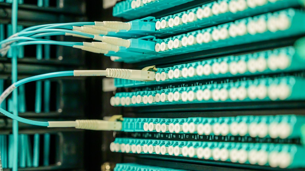 Networking cables plugged into a patch panel, showcasing data center connectivity.