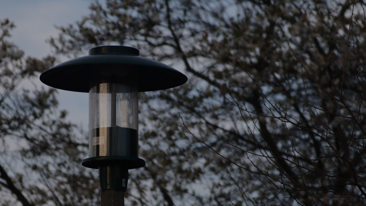 A silhouette of a street lamp set against leafless tree branches during dusk.