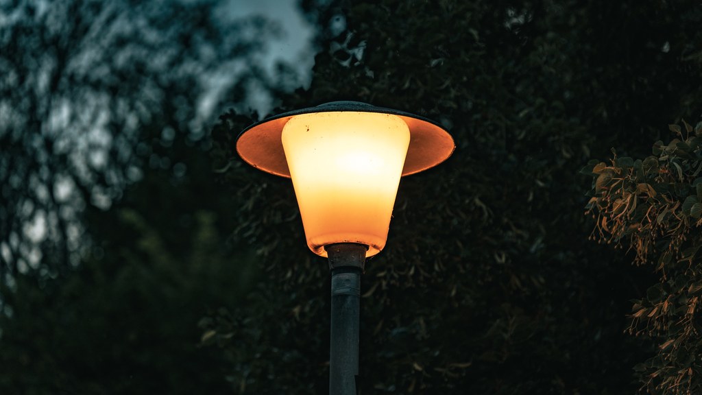 A glowing street lamp surrounded by dark foliage, casting a warm light.