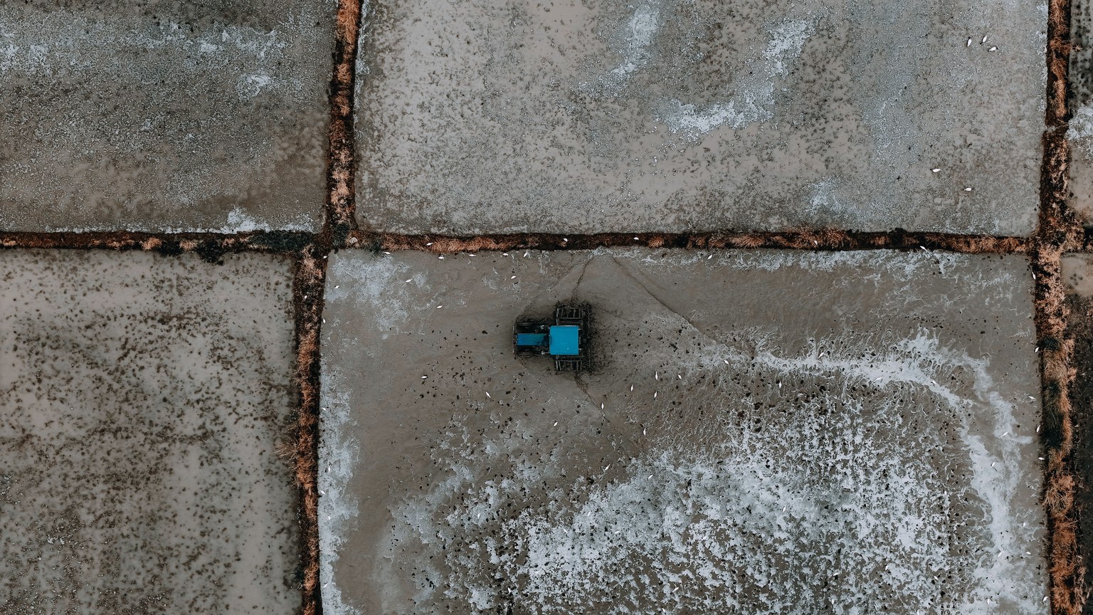Drone shot of a blue tractor on geometric salt flats, showcasing farming in a unique landscape.