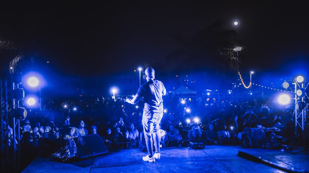 Vibrant live concert scene featuring a performer on stage under night lights with a cheering crowd.