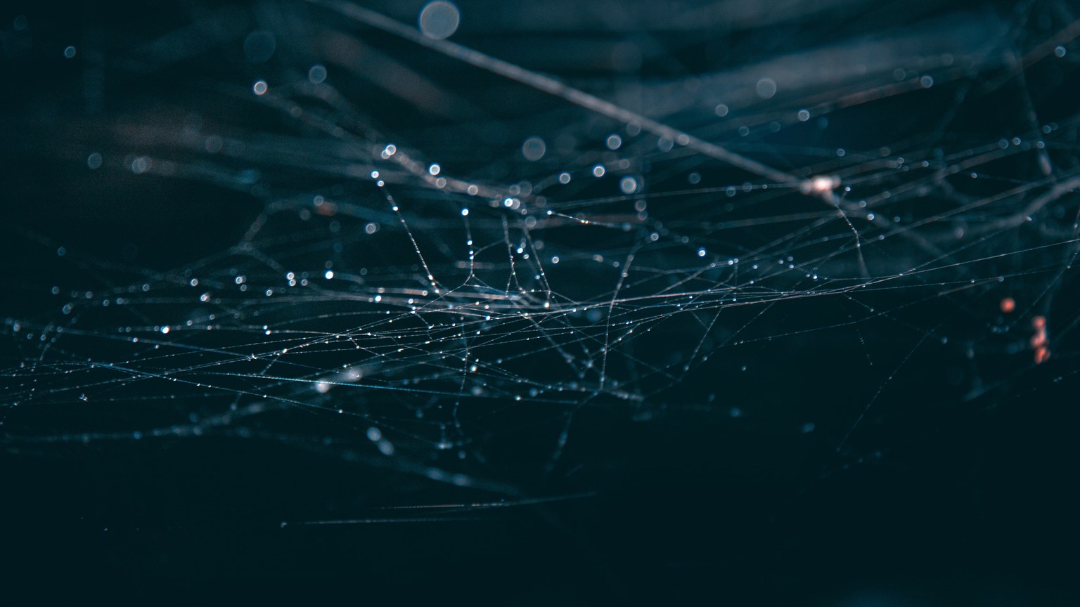Intricate close-up of dewy spider webs against a dark background, evoking a mystical and moody atmosphere.