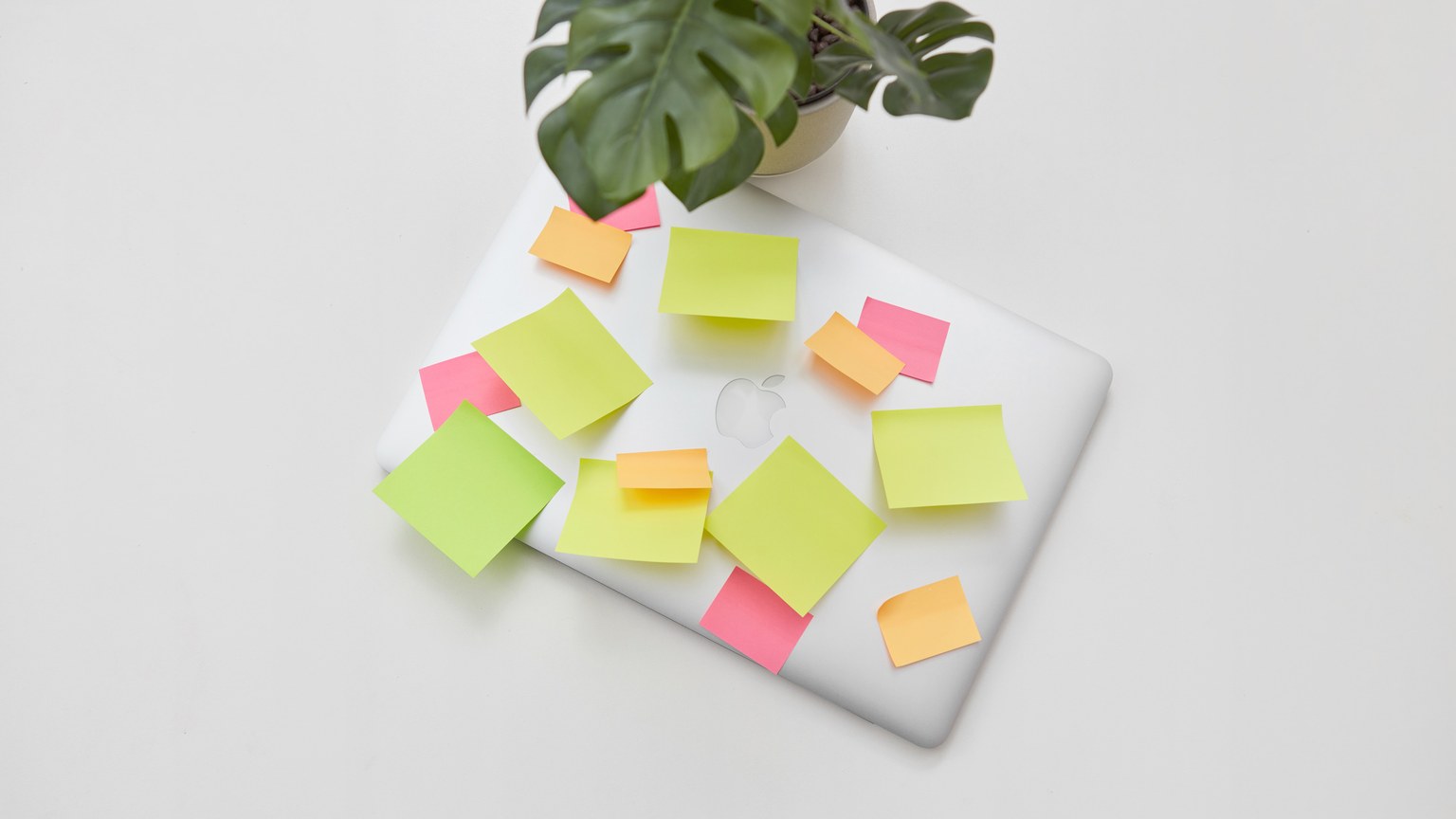 A workspace featuring a laptop covered in colorful sticky notes with a green plant on a white desk.