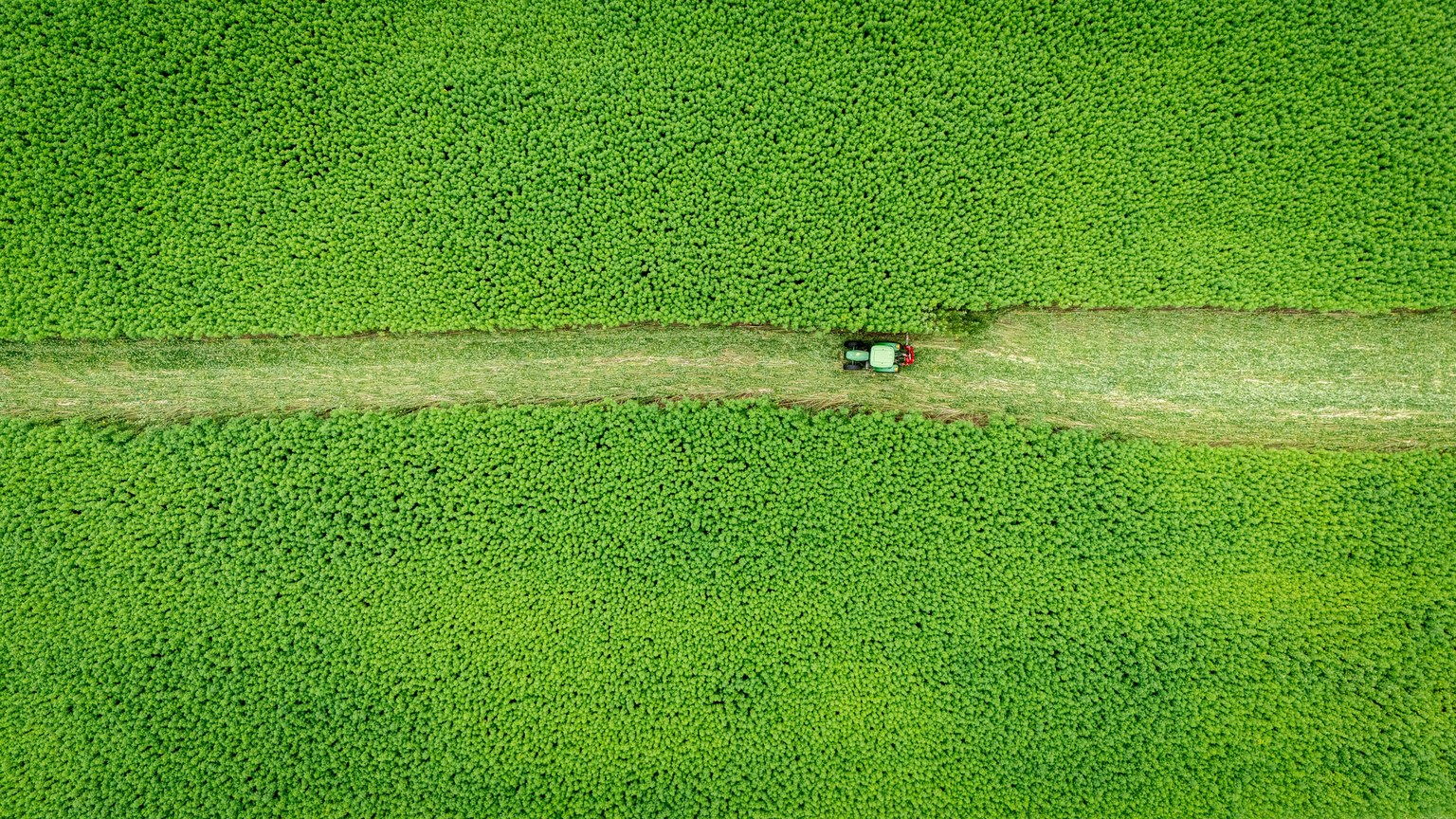Aerial photograph of a tractor working in a vast, vibrant green field captured from above.