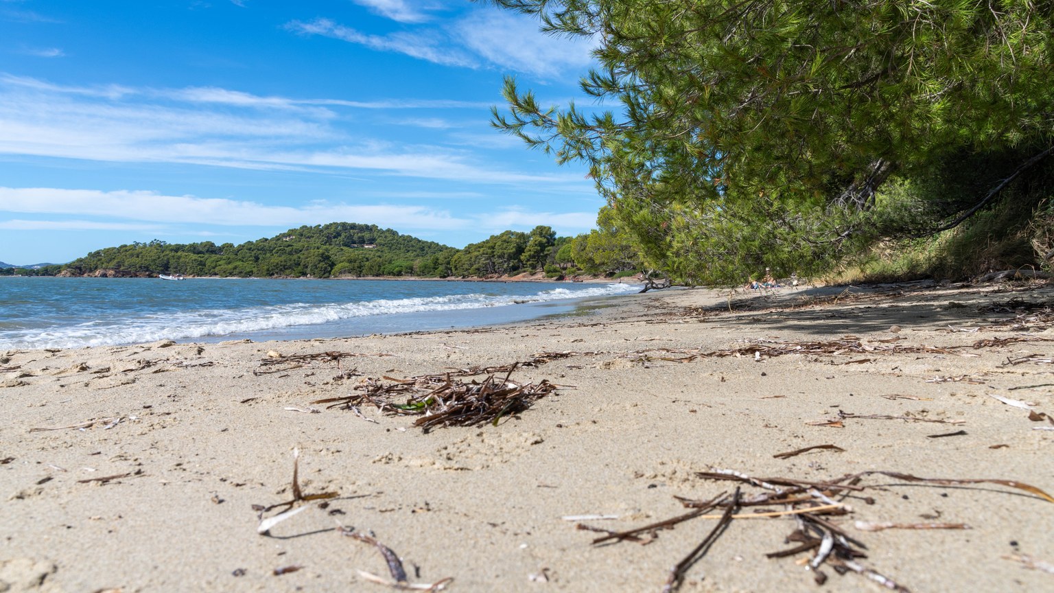 A serene beach with soft sand, gentle waves, and lush green trees. Perfect for a nature escape.