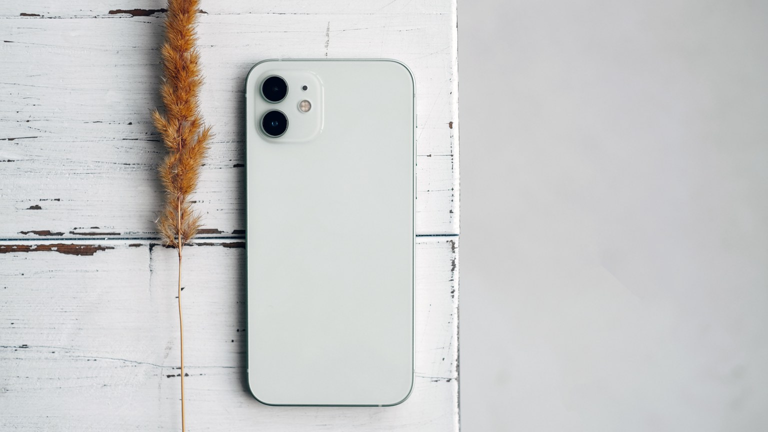 A white smartphone alongside dry grass on a rustic white wooden table, showcasing minimalist design.