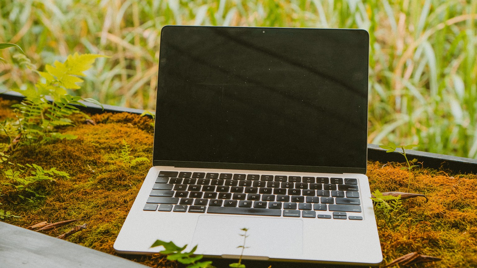 A silver laptop resting on moss with green foliage in the background, blending technology with nature.