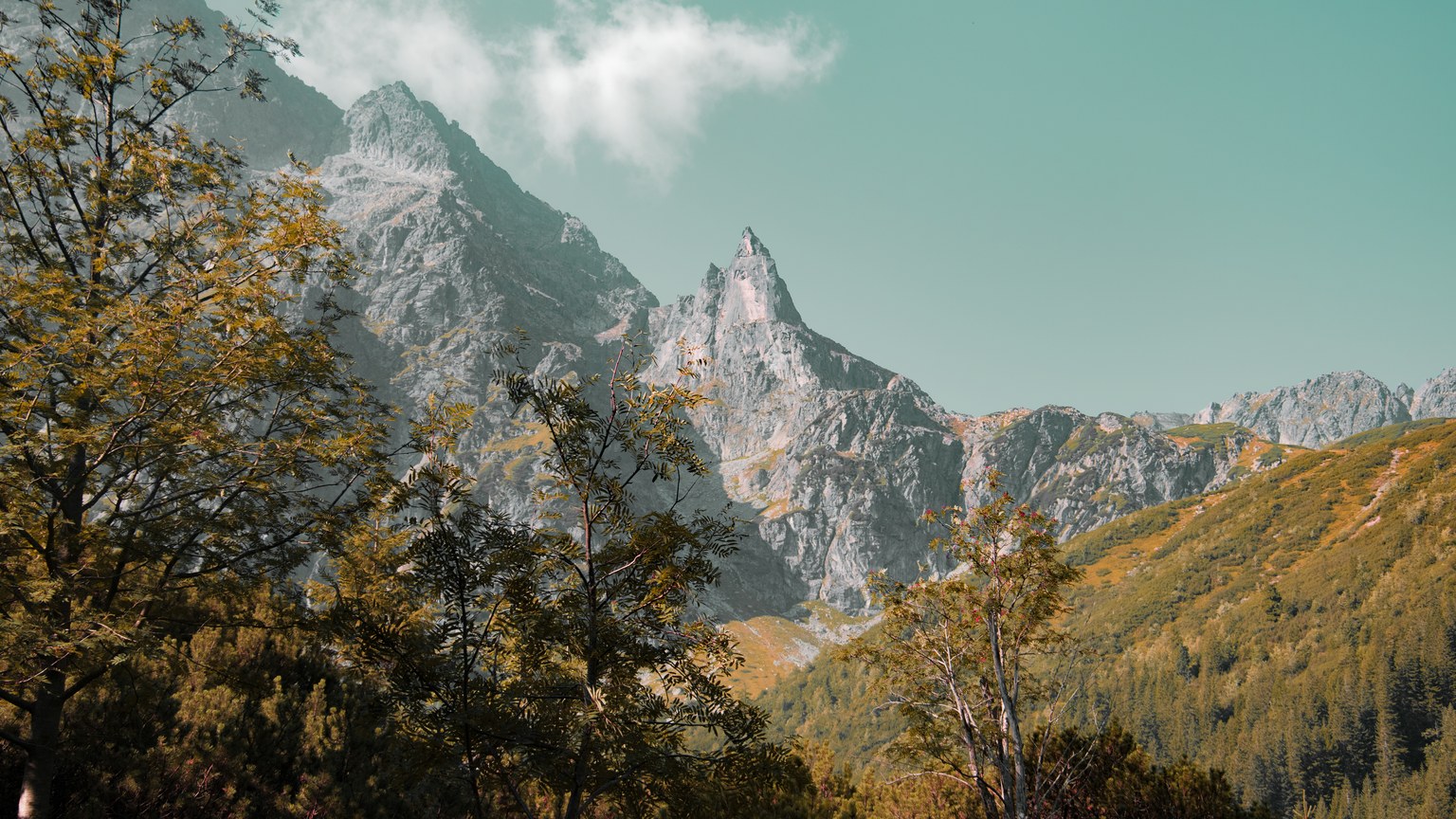 Explore the serene mountain landscape of Zakopane, Poland under a clear sky.