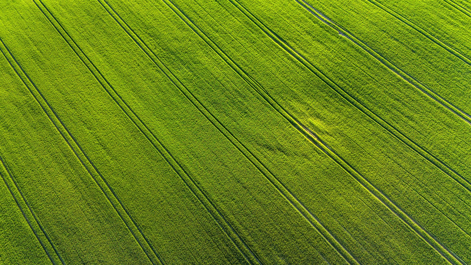 High-angle drone shot capturing vibrant green farm field patterns from above.