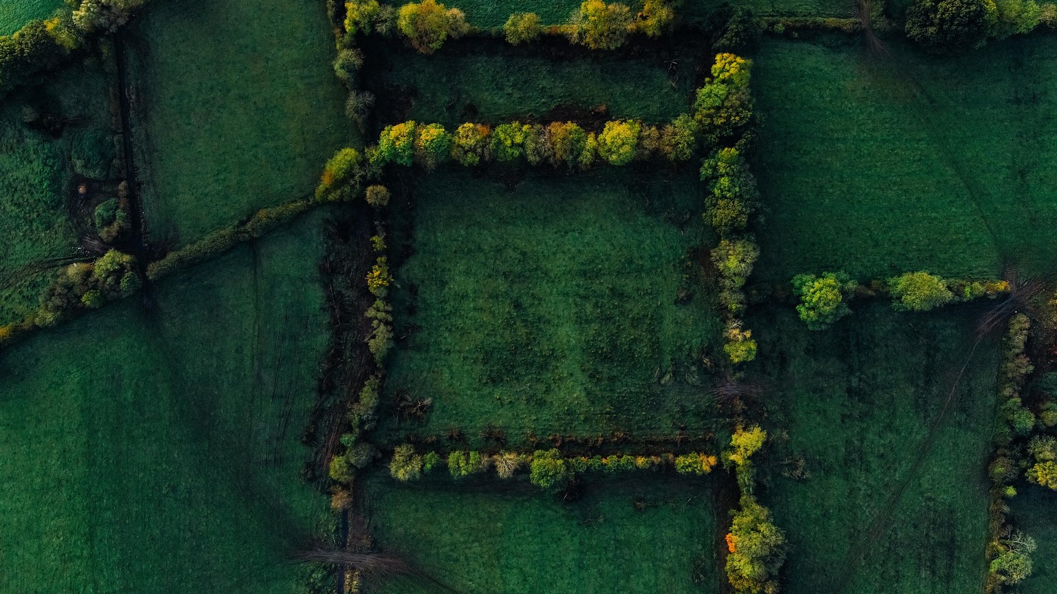 Stunning aerial shot of lush green fields creating a serene patchwork landscape.