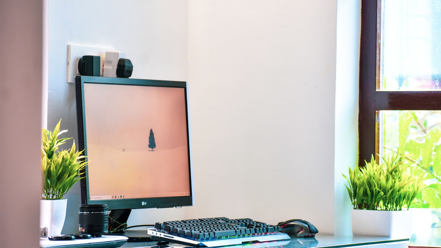 Bright home office setup featuring a computer on a desk by the window with green plants.