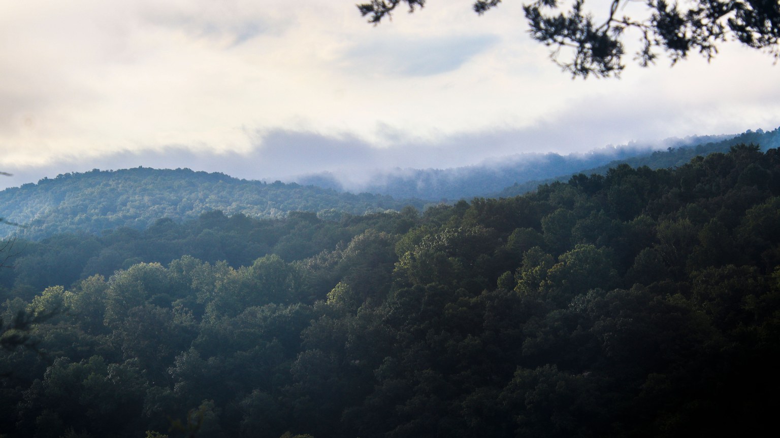 A peaceful view of misty forested hills under a cloudy sky, capturing nature's tranquil beauty.