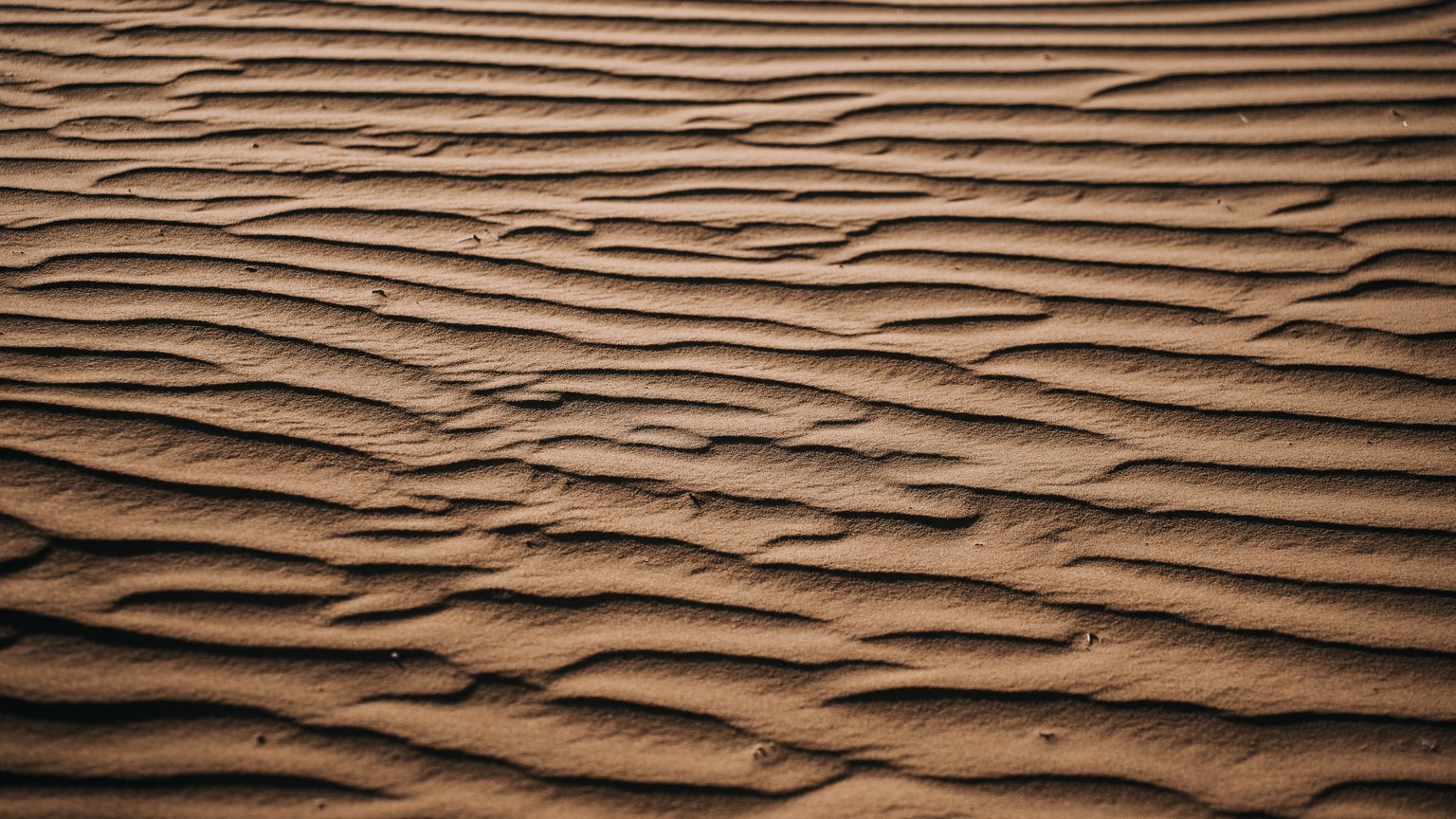 A detailed view of rippling sand patterns in a desert, showcasing natural textures.