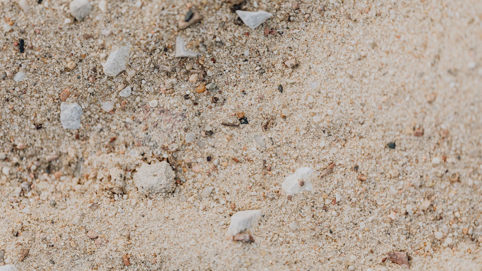 Close-up of sand grains and small pebbles showing texture and detail.