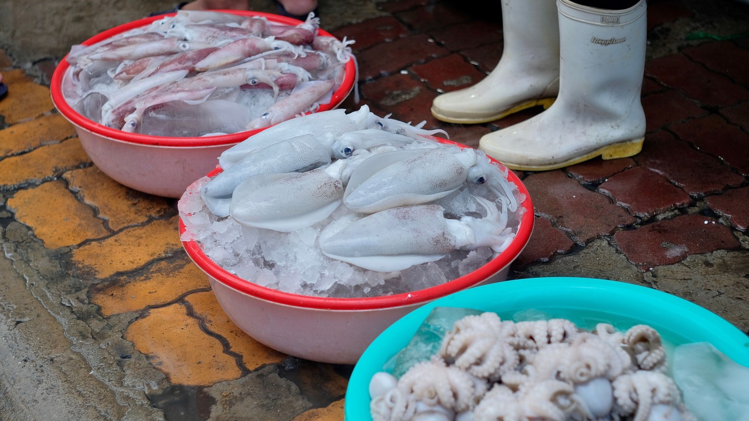 Close-up of fresh squid and octopus on ice in bowls at an outdoor market.