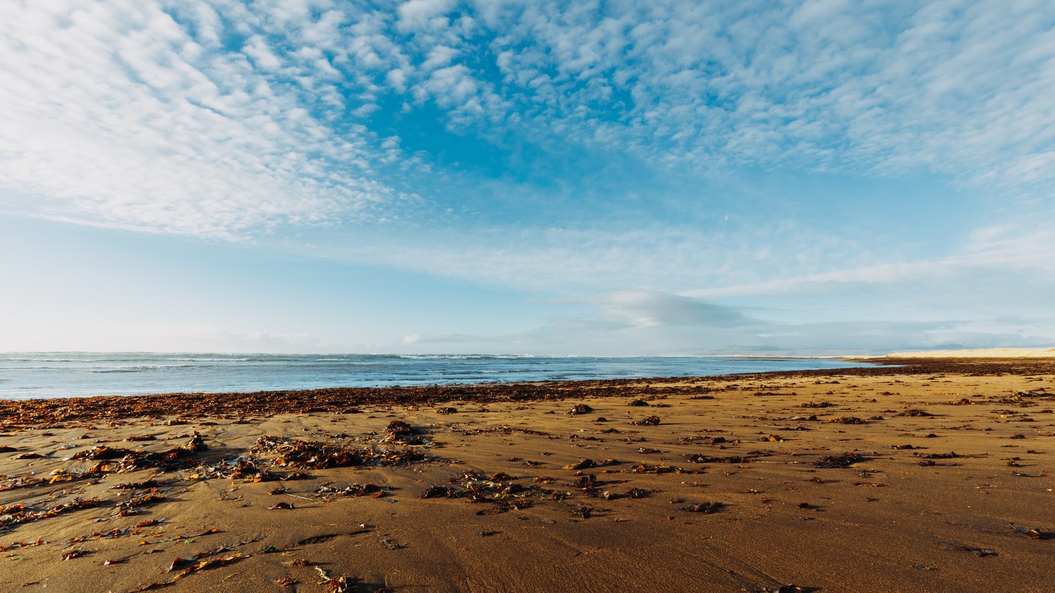 Serene beach with golden sand and clear blue sky along a calm coastline.