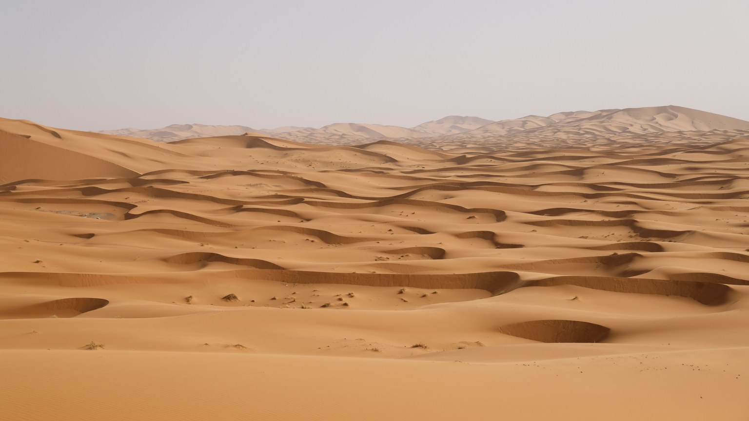 Vast desert landscape featuring rolling sand dunes under a clear sky.