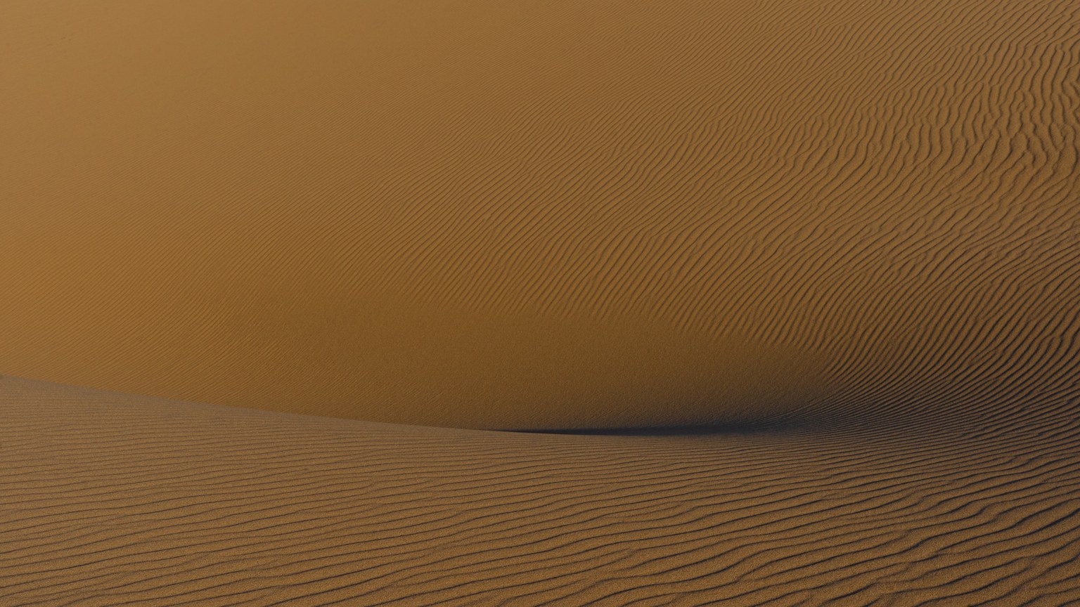 Captivating sand dunes with intricate patterns in a warm desert setting, showcasing nature's artistry.