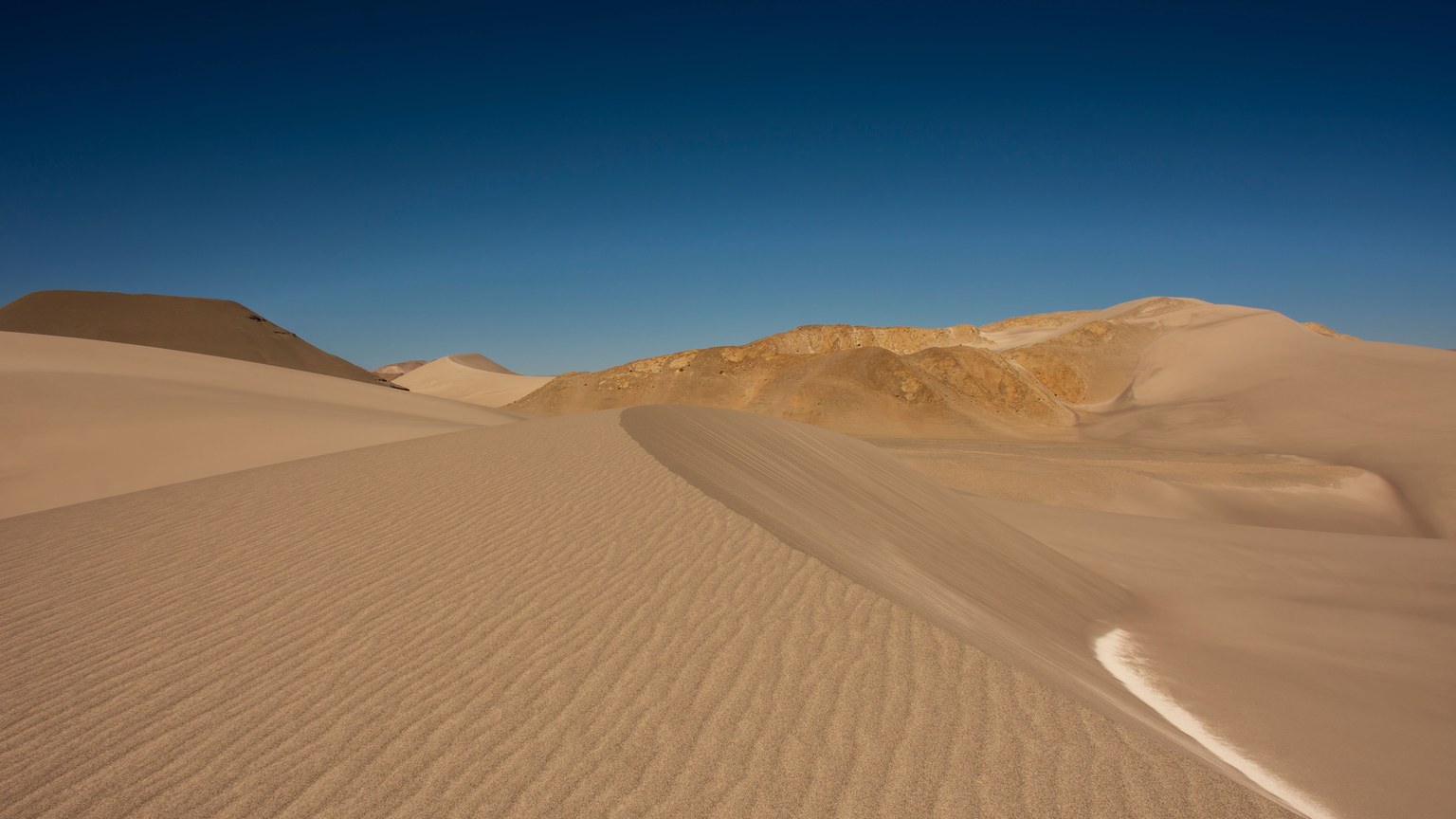 Expansive desert landscape with sandy dunes under a bright blue sky, showcasing nature's beauty.