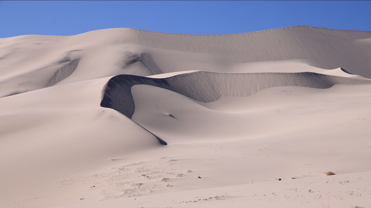 Expansive desert landscape featuring majestic sand dunes under a clear blue sky, perfect for travel and nature themes.