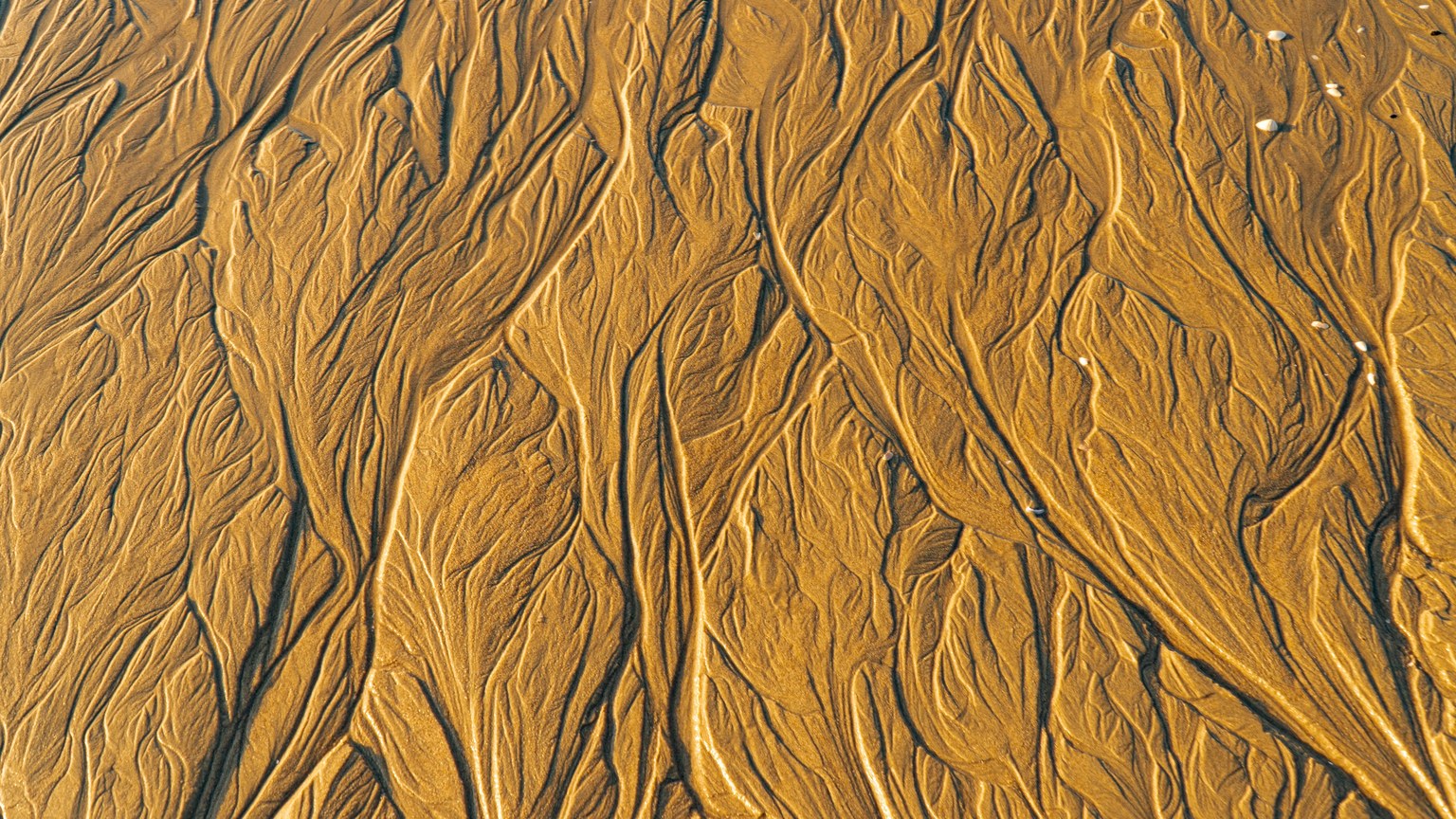 Abstract sand patterns form natural artistry on a beach in Vietnam.