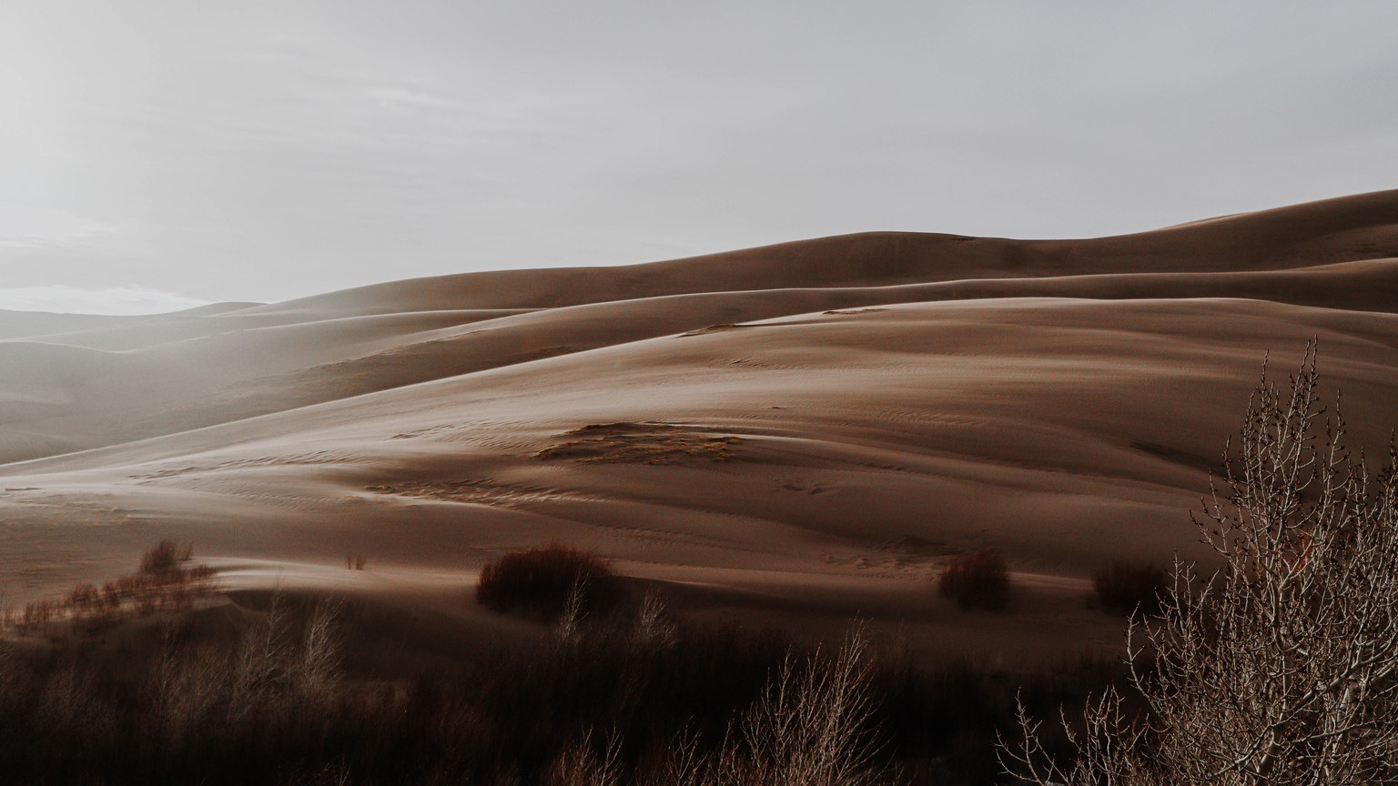 Captivating view of sand dunes and sparse vegetation under a subtle sunset sky.