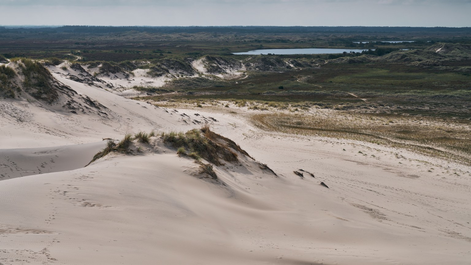Captivating view of sand dunes and landscape at Skagen, Denmark, under a cloudy sky.