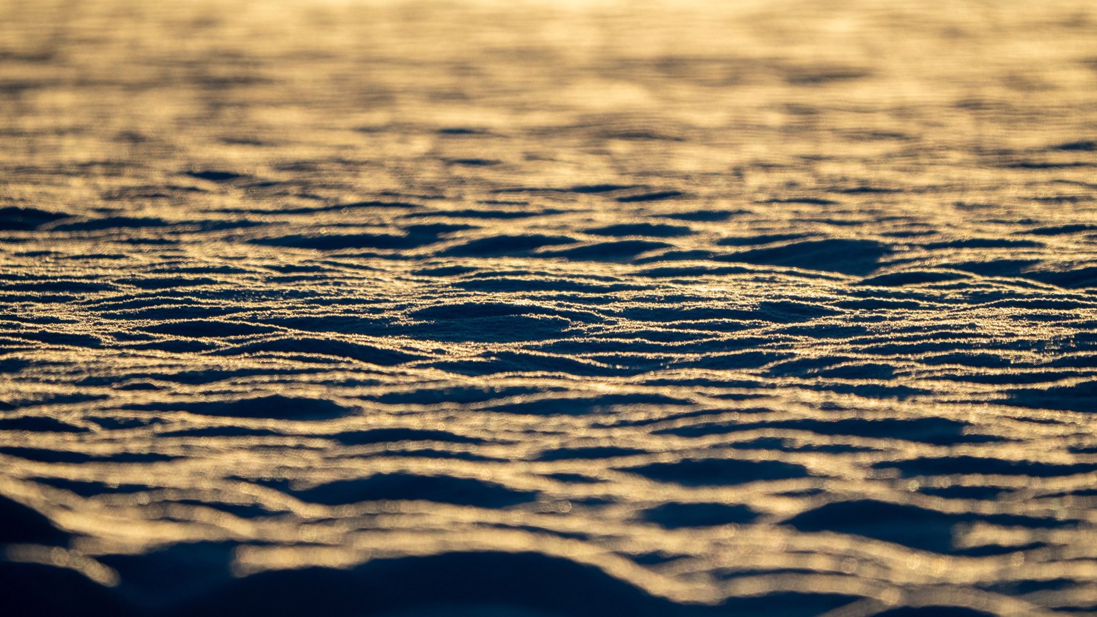 Sunset light casts a golden hue over rippled sand on a tranquil beach shore.