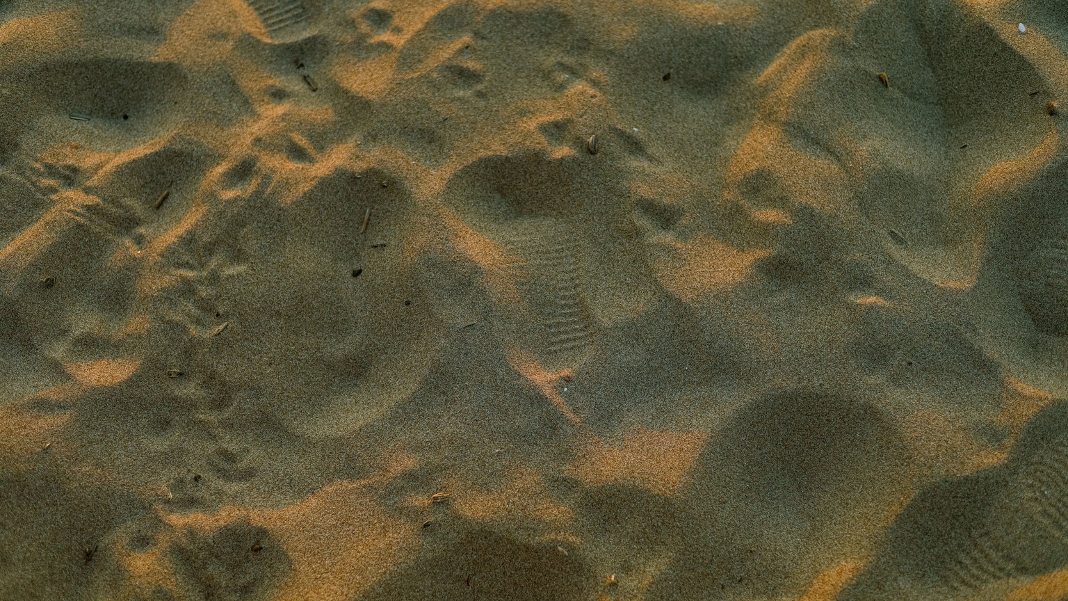 Footprints in textured golden beach sand with a warm sunset glow.