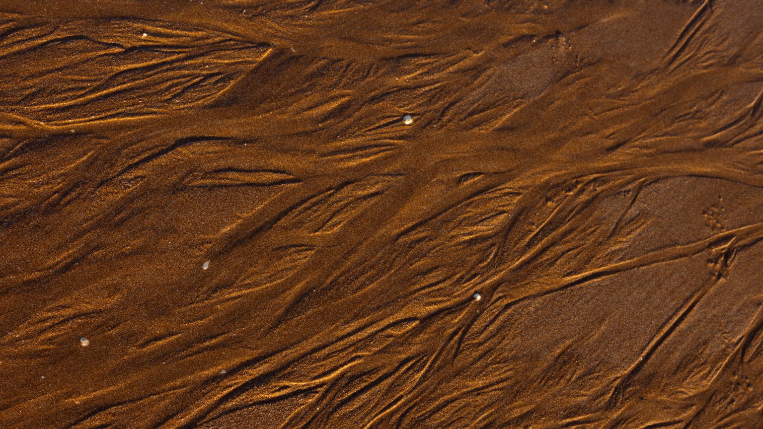 Detailed texture of golden sand at Broadstairs Beach, England, showcasing nature's artistry.