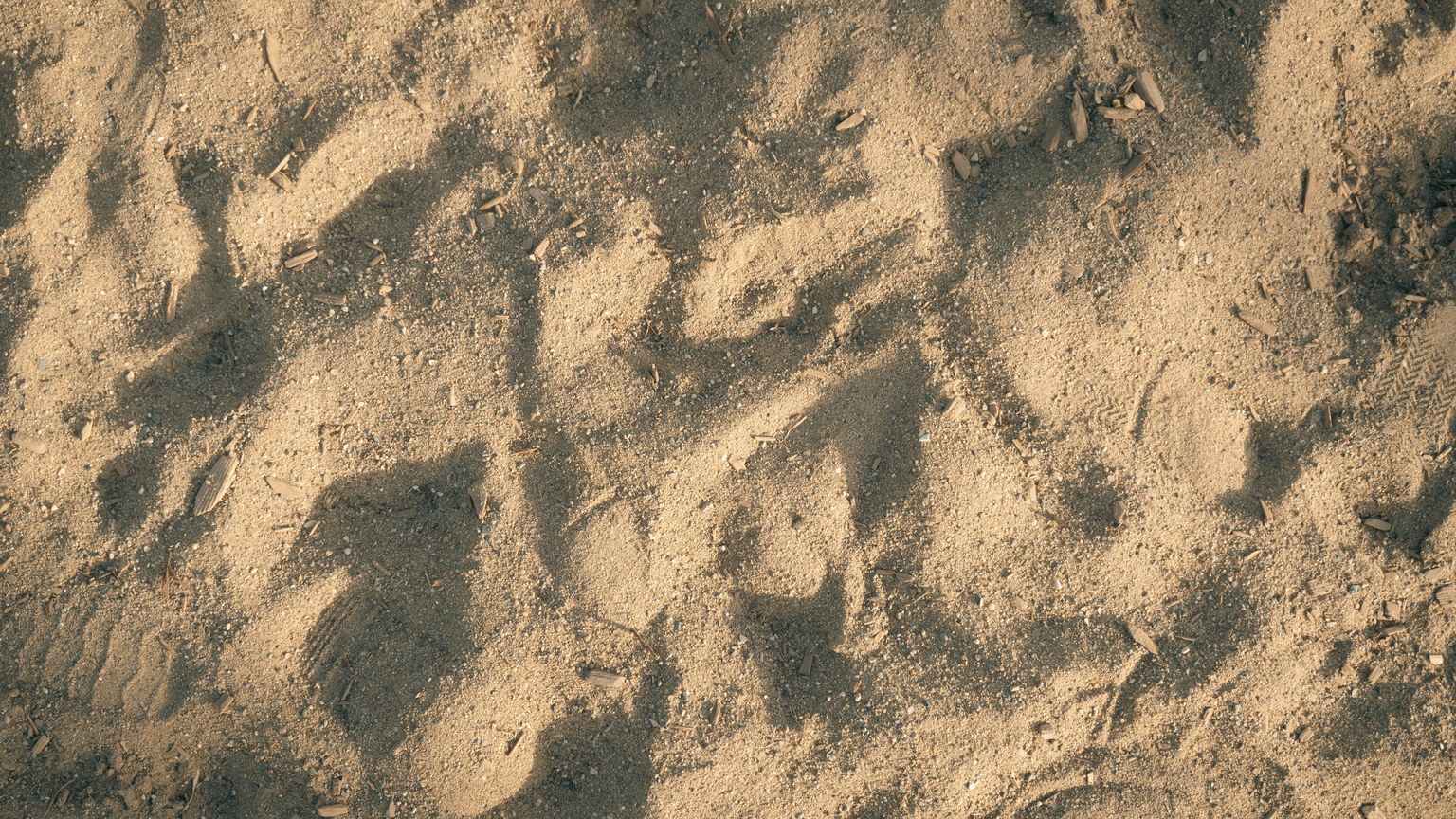 Close-up of sandy beach texture with visible footprints, creating an organic and natural pattern.