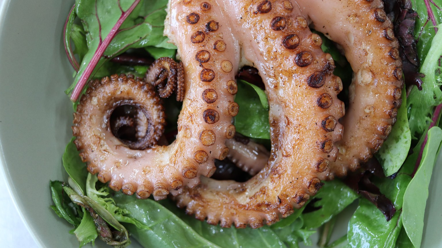 Delicious grilled octopus served on a bed of fresh greens. Perfect for seafood lovers.