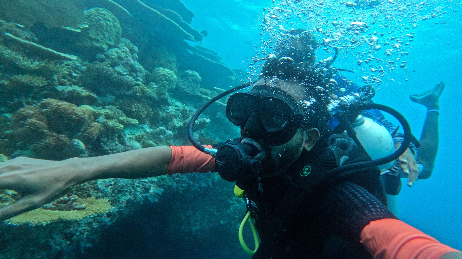 Experience scuba diving among vibrant corals in the Maldives underwater paradise.