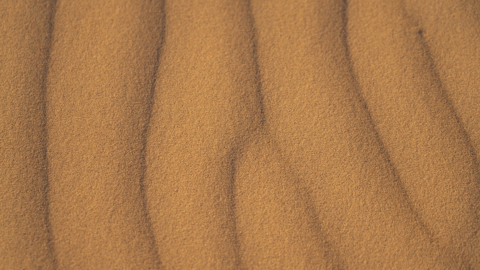 Captivating close-up of patterned sand dunes in Monahans, Texas, highlighting natural textures.