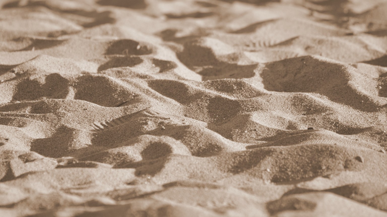 Detailed close-up of sand dunes showcasing texture and patterns in natural light.