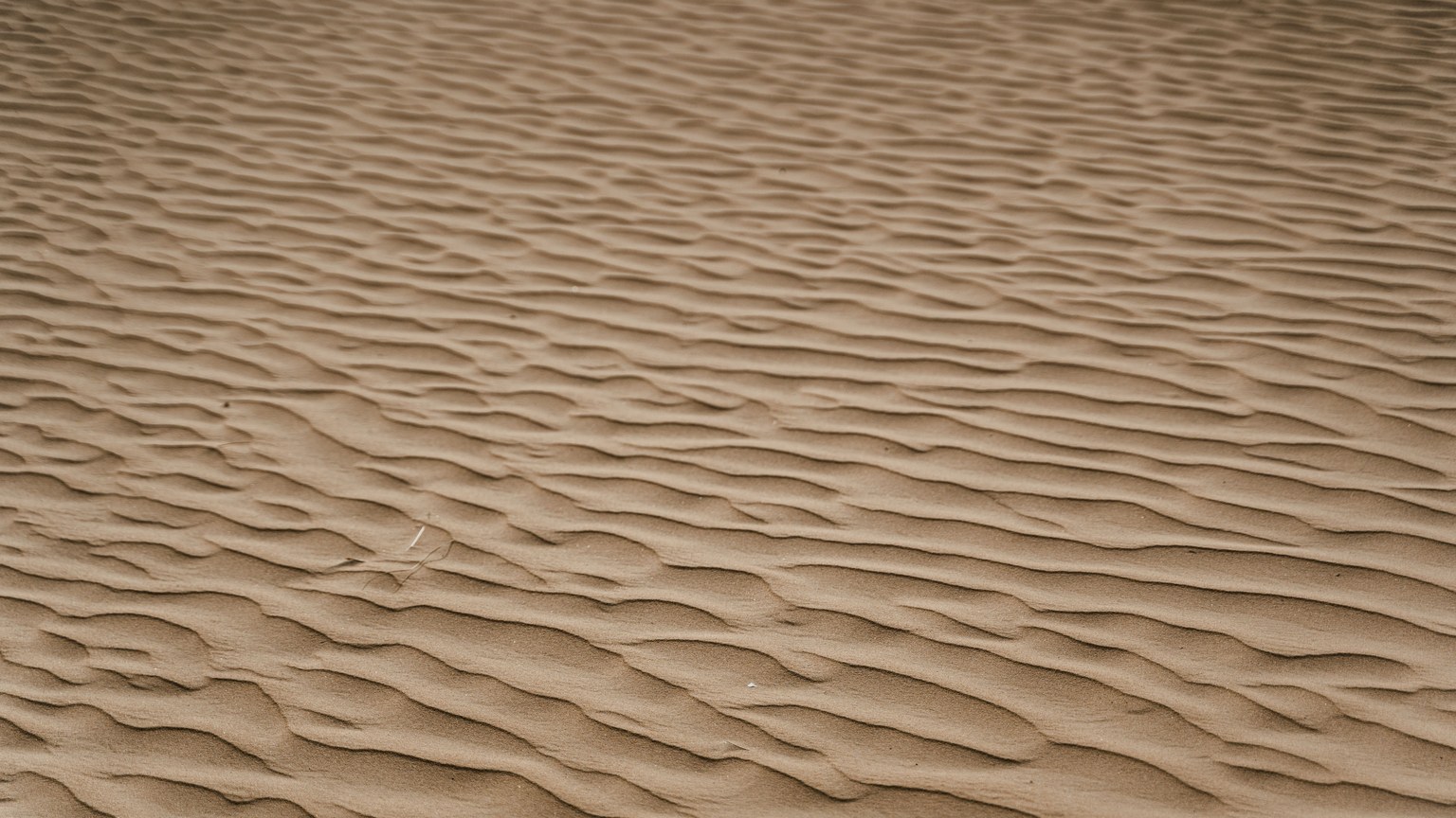 Close-up of desert sand displaying intricate ripple patterns.