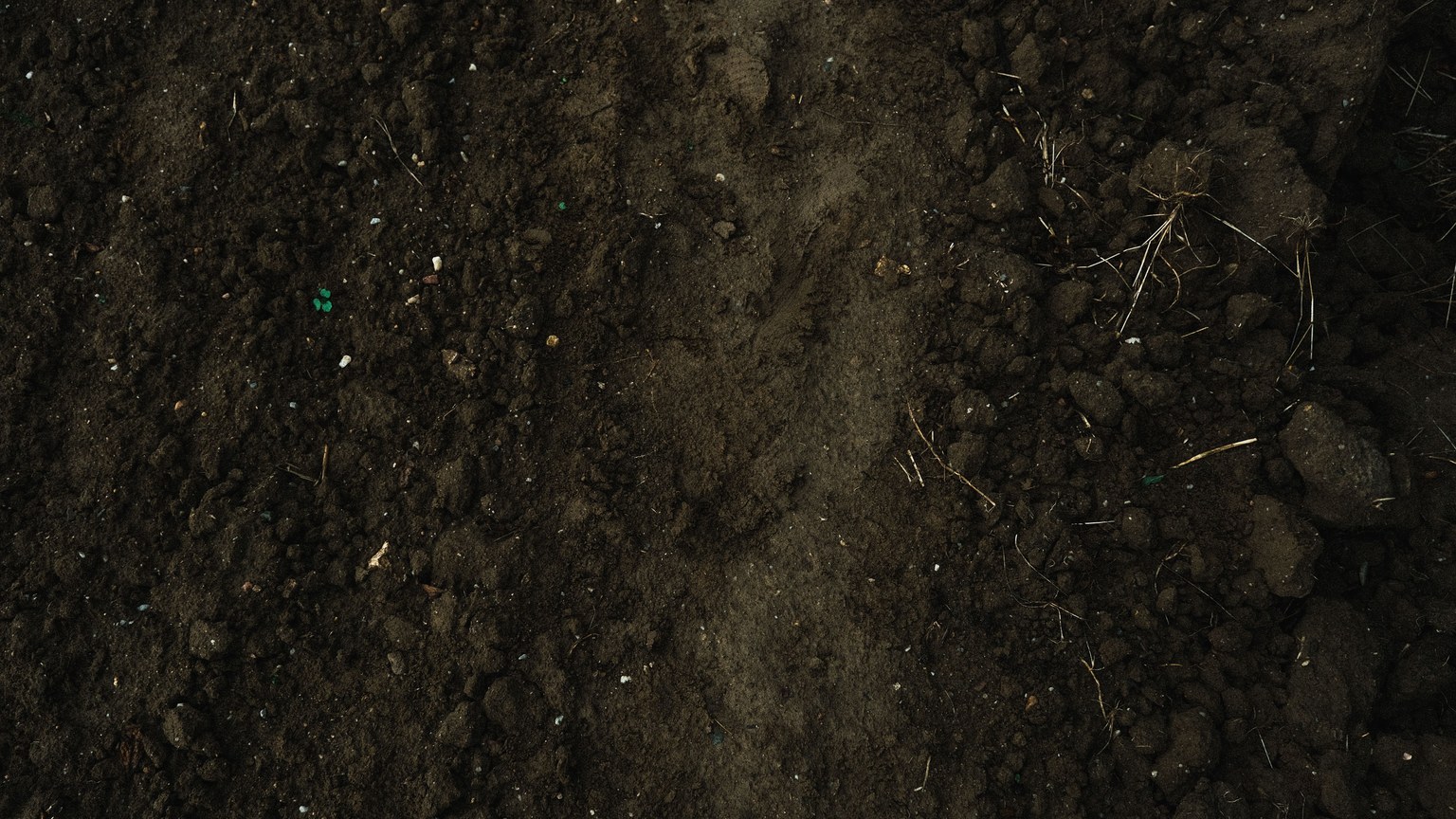 Close-up image of rich brown soil, ideal for agriculture and farming projects.