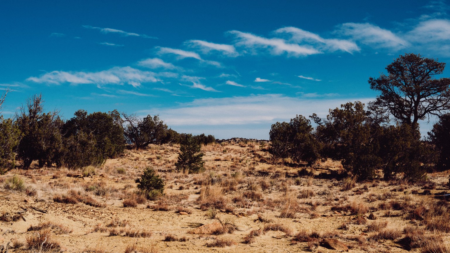 Expansive desert landscape with sparse vegetation under a clear blue sky, capturing the arid beauty.