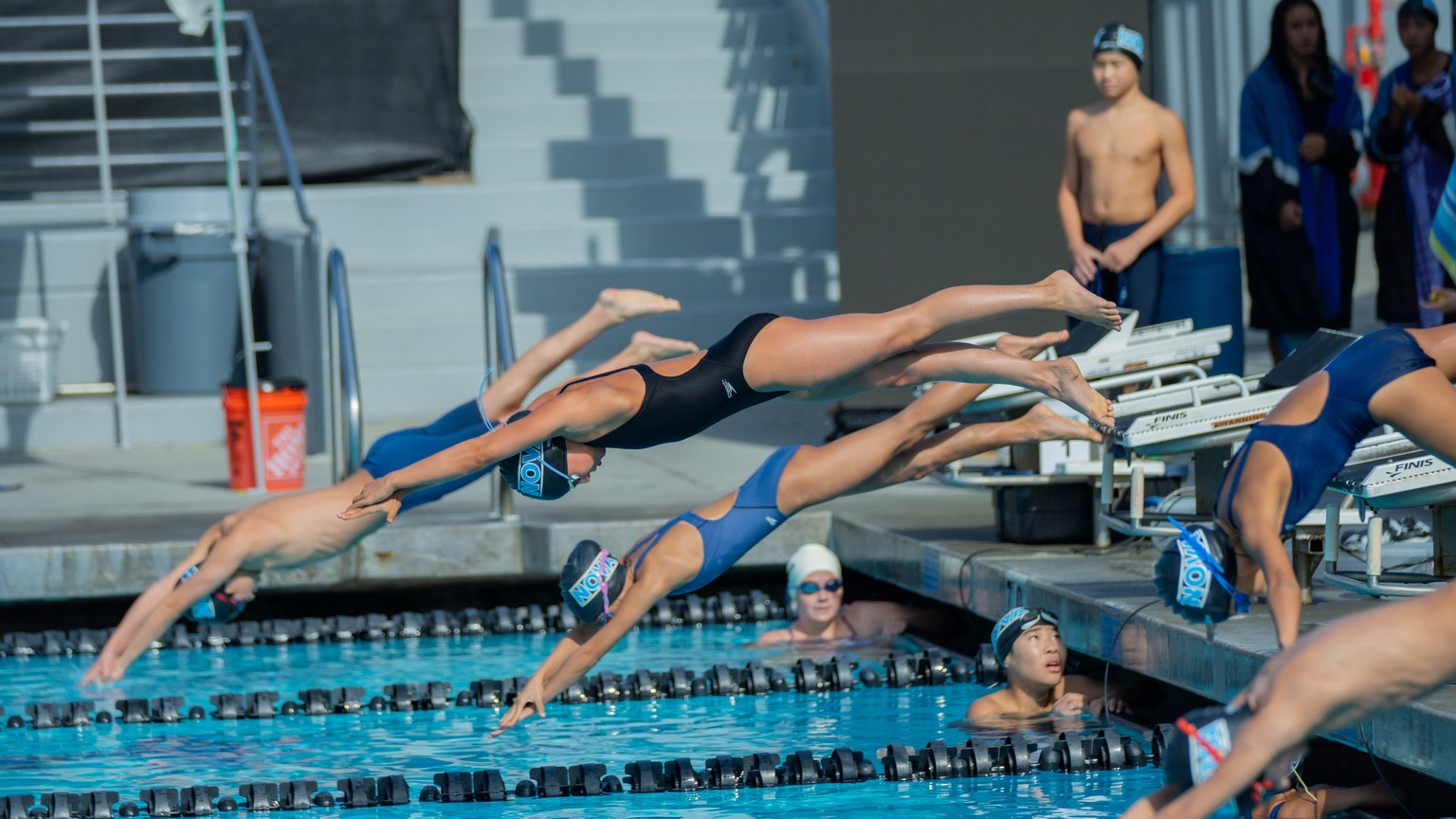 Athletes diving into a swimming pool during a competitive race at an outdoor event.