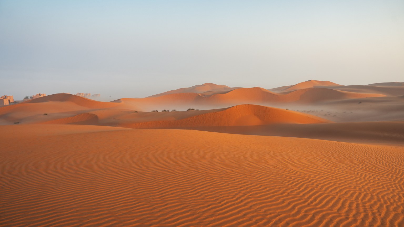 Expansive desert landscape with golden sand dunes illuminated by sunrise, showcasing natural patterns and tranquility.