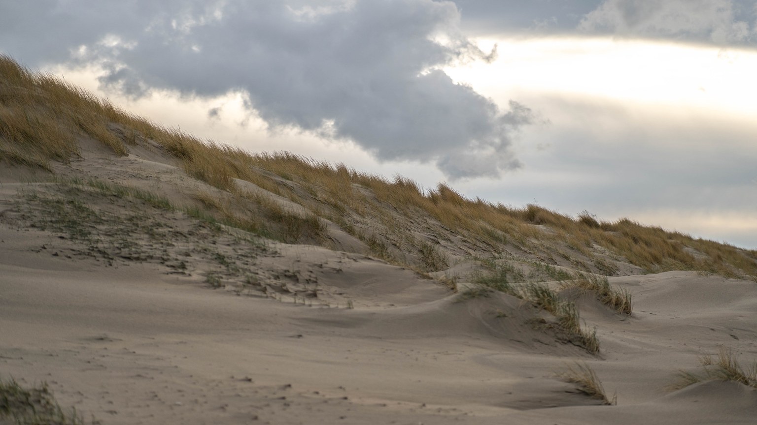 A tranquil landscape of sand dunes with wild grass and dramatic clouds at dusk.
